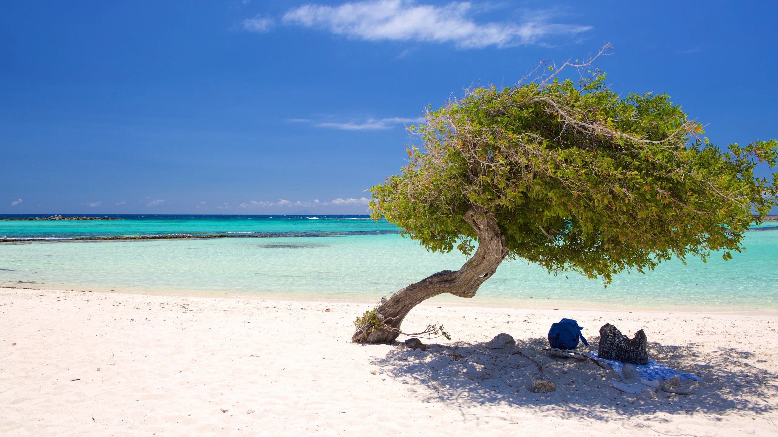 Top 10 Must-Visit Beaches in Aruba