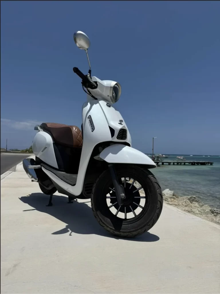 QJMotor Bike 150CC W